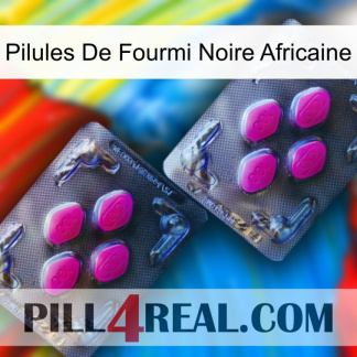 African Black Ant Pills 01